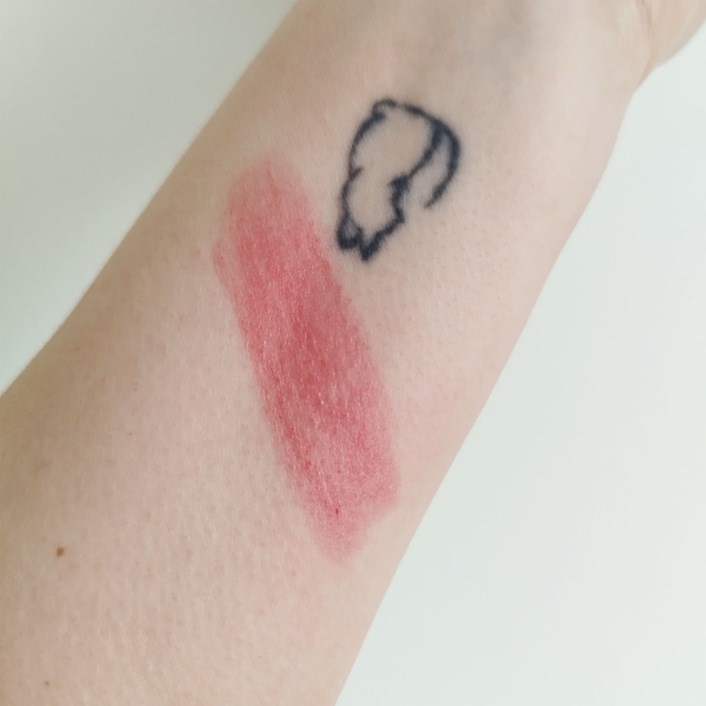 Hot Mess Lip Tint X
